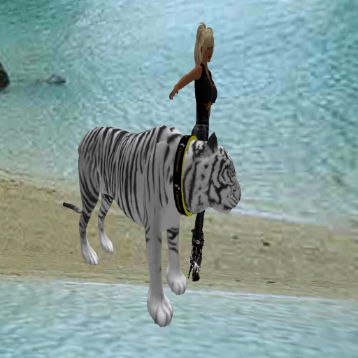 WHITE SIBERIAN TIGER - ANIMATED WALKS, FLYS & RUNS  - SPECIAL EASTER PRICE!!