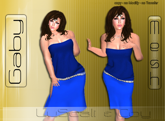 .:LS:. Gaby Dress Mesh