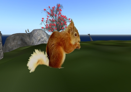 Second Life Marketplace - Mw animated moving tail squirel