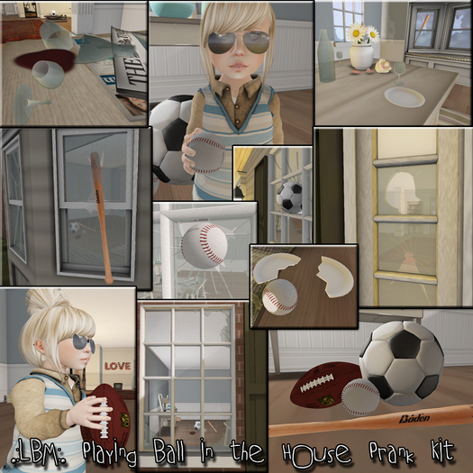 .:LBM:. Playing Ball in the House Prank Kit