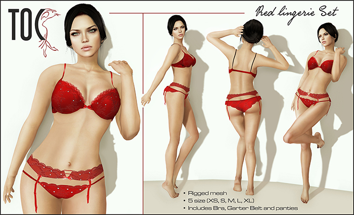 [TOC] Body Shop Red Lace Lingerie
