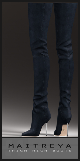 Maitreya Thigh High Boots - Midnight  Suede