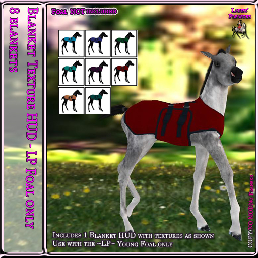 ~LP~ Young Foal Blanket Texture HUD  BOXED