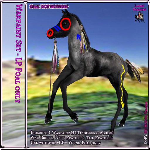 ~LP~ Young Foal Warpaint Set BOXED