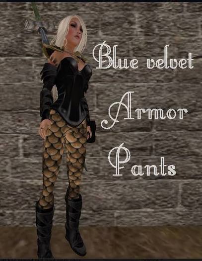 armor pants>BlueVelvet