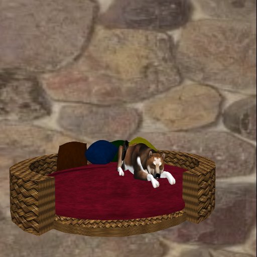 Puppy Bed