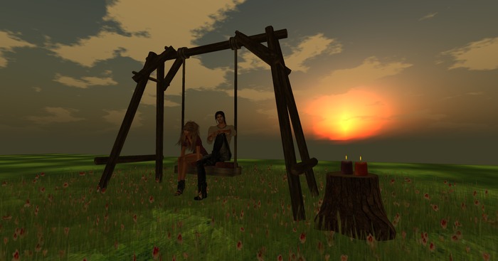Swing set ~ for two  ( Box )