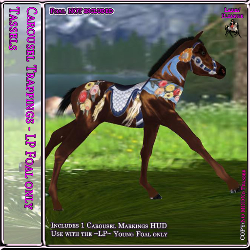 ~LP~ Young Foal Carousel Texture HUD  BOXED Tassels