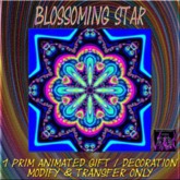 BBD - Blossoming Star