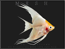 T-3D Creations [ Angel Fish ]  1 Fish / Micro MESH - Full Perm -