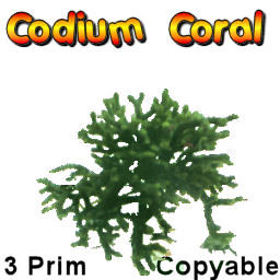 Codium Coral Plant box