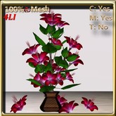 LW_ Hibiscus Tree in Vase Red2