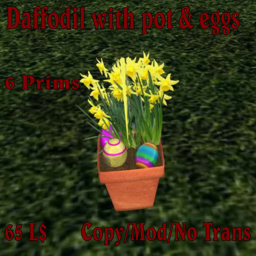 Daffodil with pot & eggs (MN)(Box)