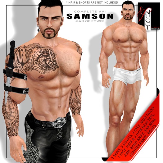 Complete Avatar-Samson