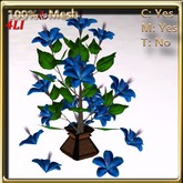 LW_ Hibiscus Tree in Vase Silk Blue