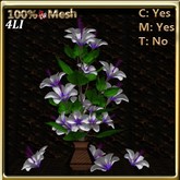 LW_ Hibiscus Tree in Vase White Purple