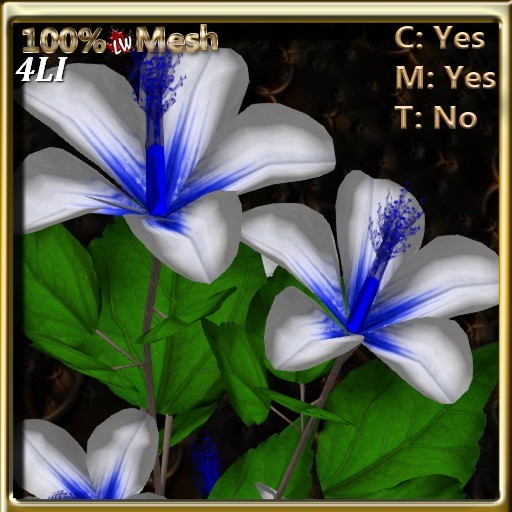 LW_HibiscusTreeBlue