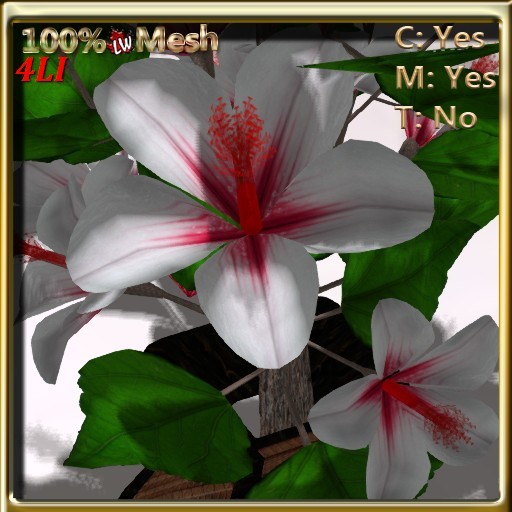 LW_ Hibiscus Tree in Vase White Red