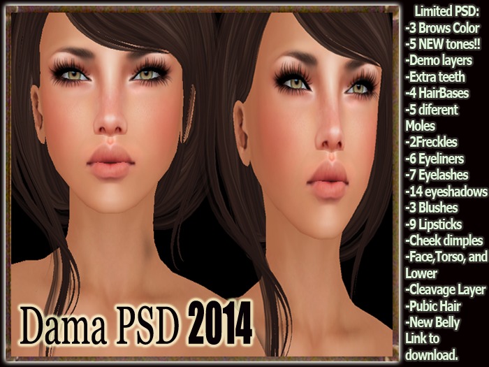Dama PSD 2014-DEMO