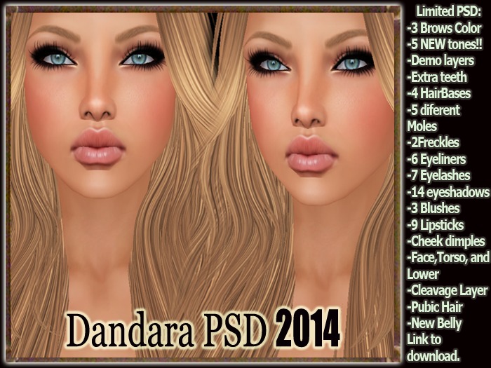 Dandara PSD 2014-DEMO