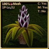 LW_ Bromeliad in Pot Dark Purple