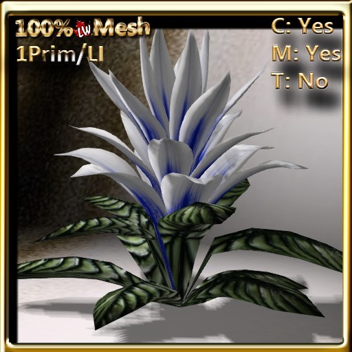 LW_ Open Bromeliad Plant White Blue