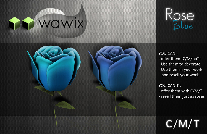 [wawix] Blue rose