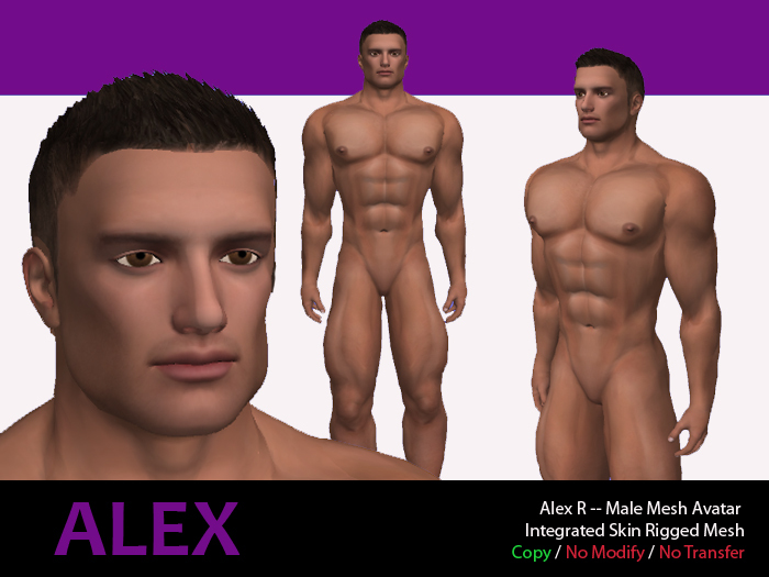 Alex R -- Male Mesh Avatar