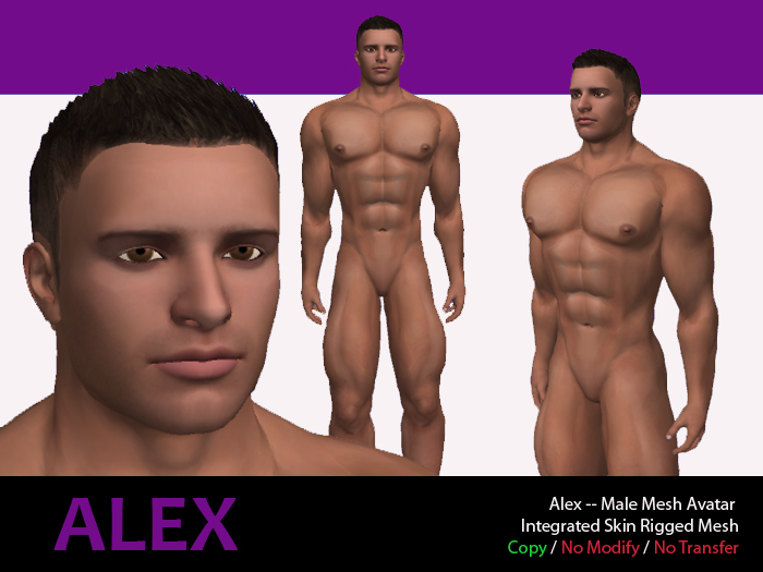 Alex -- Male Mesh Avatar