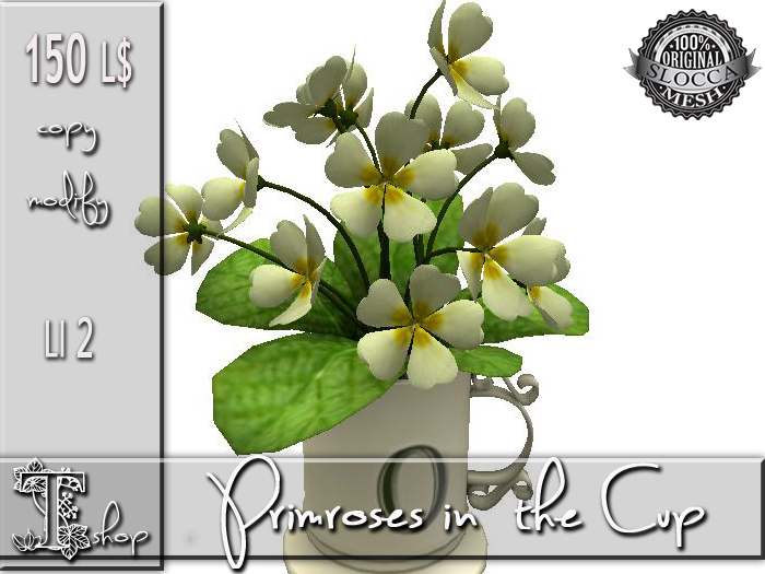 Primroses in the Cup MC