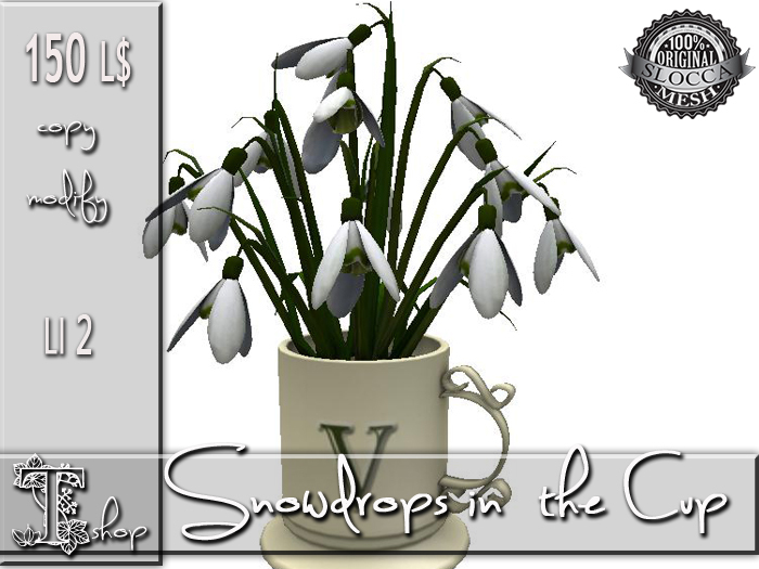 Snowdrops in the Cup MC