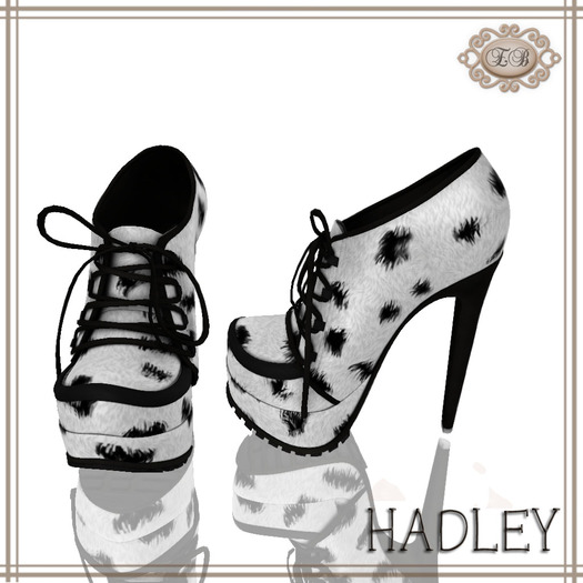 .:Ecce Bellus:. Hadley-Snow Leopard