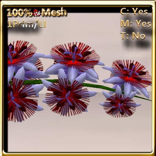 LW_ Passifloras / Passion Flowers Purple Red