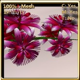 LW_ Passifloras / Passion Flowers Bright Pink