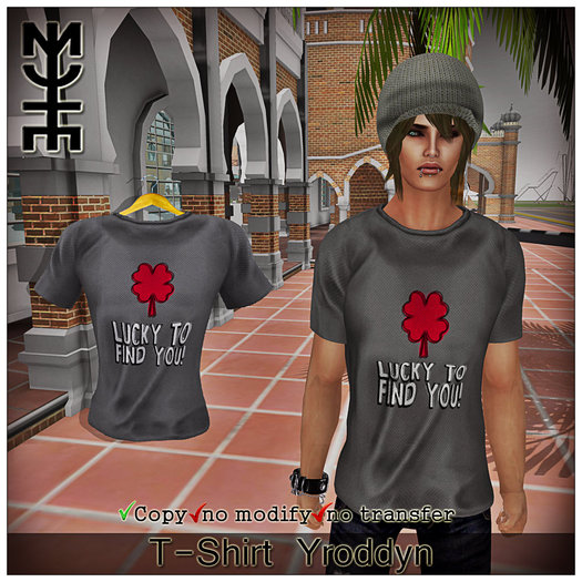 T-Shirt Yroddyn