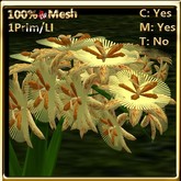 LW_ Passifloras / Passion Flowers Soft Yellow