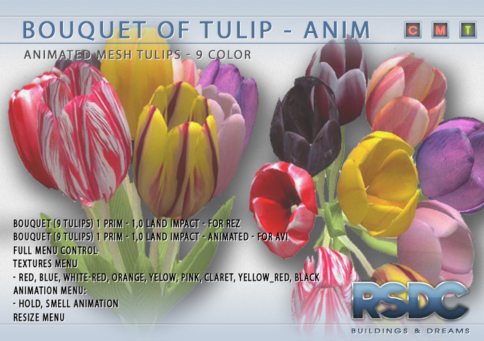BOUQUET OF TULIP 9 V2.3