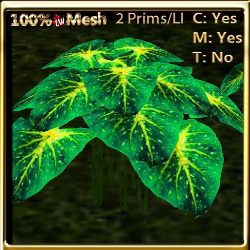 LW_ 4 Caladium Groups Green