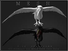 T-3D Creations [ CROW No.3]  Regular MESH - Full Perm -