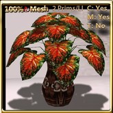 LW_ Caladium Vase Orange