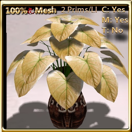 LW_ Caladium Vase  Soft Yellow