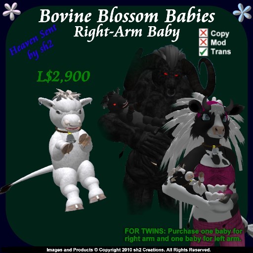 sh2 Bovine Blossom Baby Right v2.0
