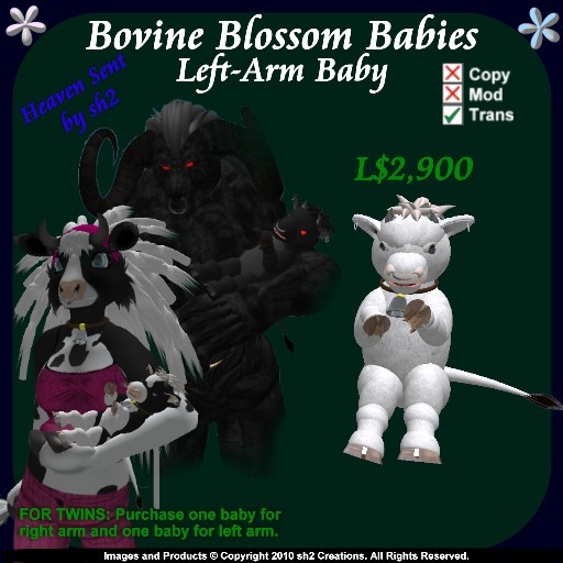 sh2 Bovine Blossom Baby Left v2.0