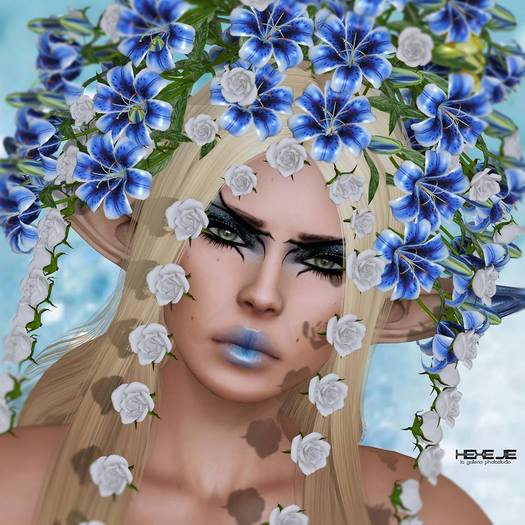 F I N E S M I T H - BLOSSOM6