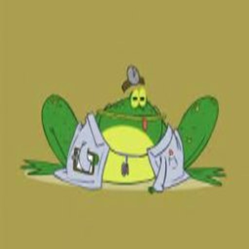 Download The Quack Frog Story