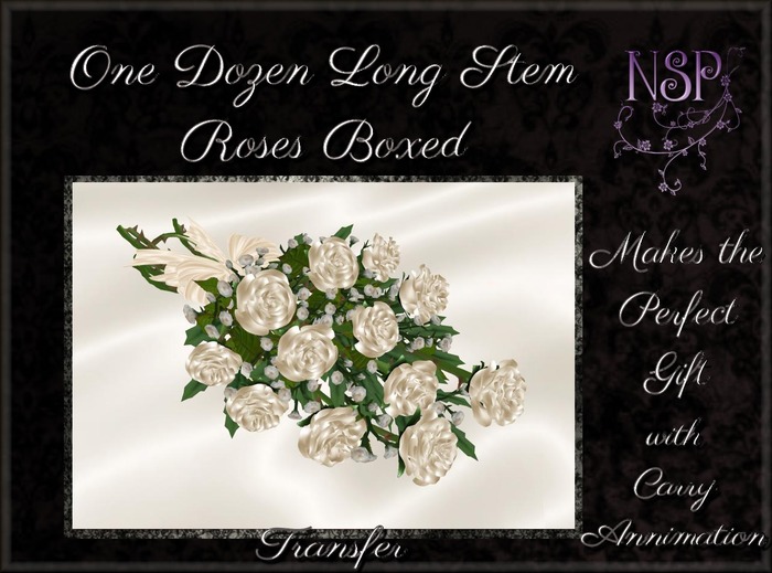 NSP One Dozen Long Stem Roses (Cream) Boxed
