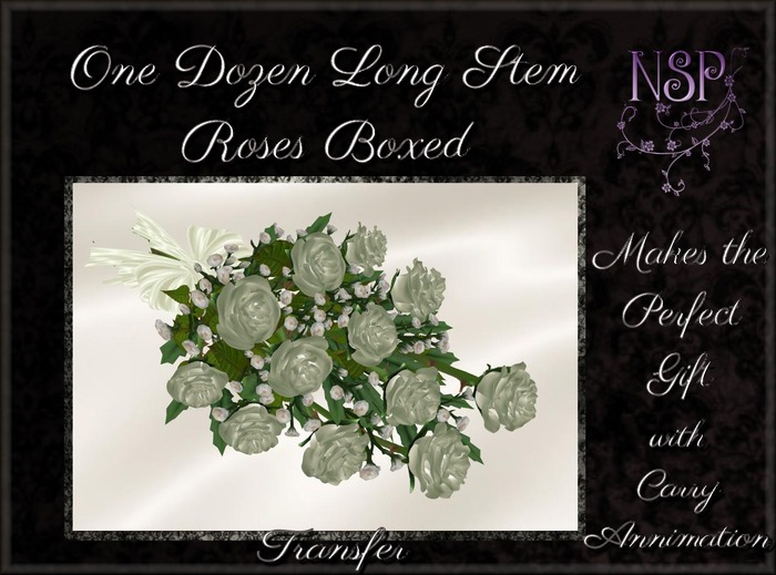 NSP One Dozen Long Stem Roses (Sage) Boxed