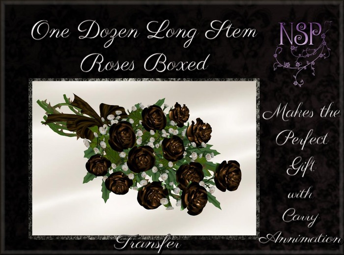 NSP One Dozen Long Stem Roses (Umber) Boxed