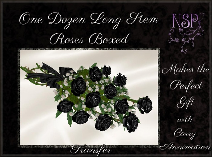 NSP One Dozen Long Stem Roses (Black) Boxed