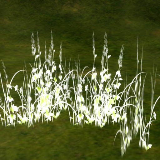 small Summer Grass_white